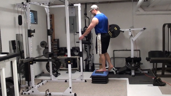 Elevated Reverse Lunges