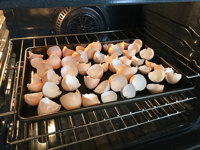 baked egg shells