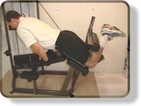 Concentration Leg Curls