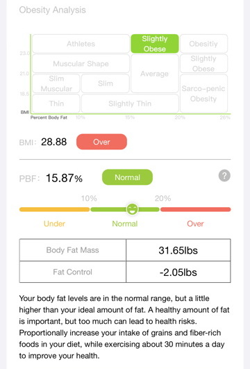 BodyPedia Smart Body Composition Scale Review Results
