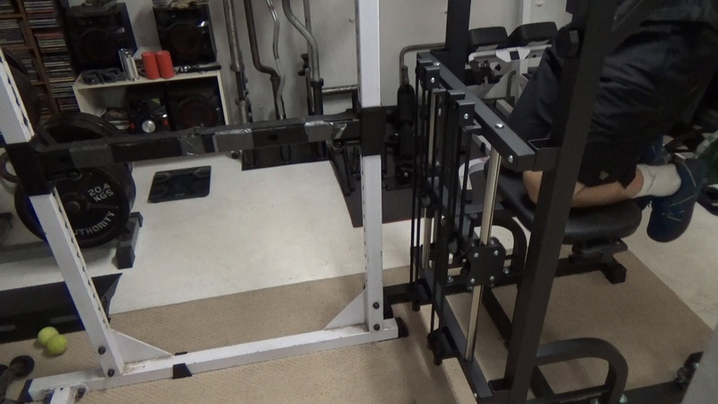 Flybird Fitness Power Tower Assisted Pull-Up/Dip Station Review