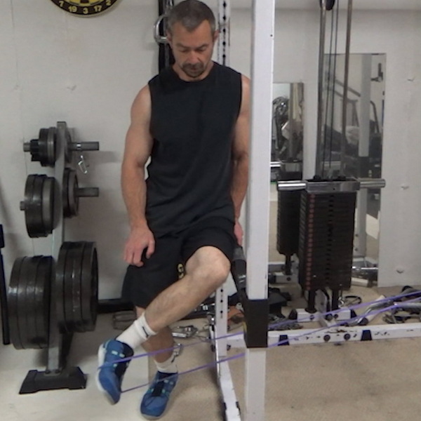 Braced Sartorius Hip External Rotations