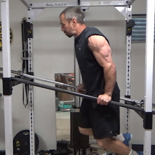 Two Bar Angled Traversing Dips