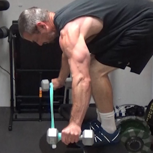 Dumbbell-Band-Plate Rear Delt Lateral Raises