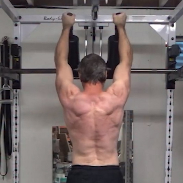 Safety Squat Bar Rotary Shoulder Press